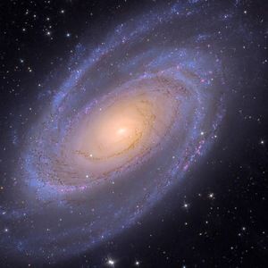 Meet your Posher, Makayla